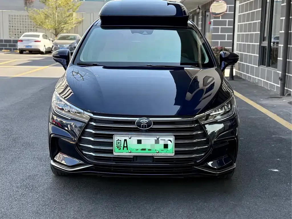 BYD MAX New Energy 2023 из CN, фото 2