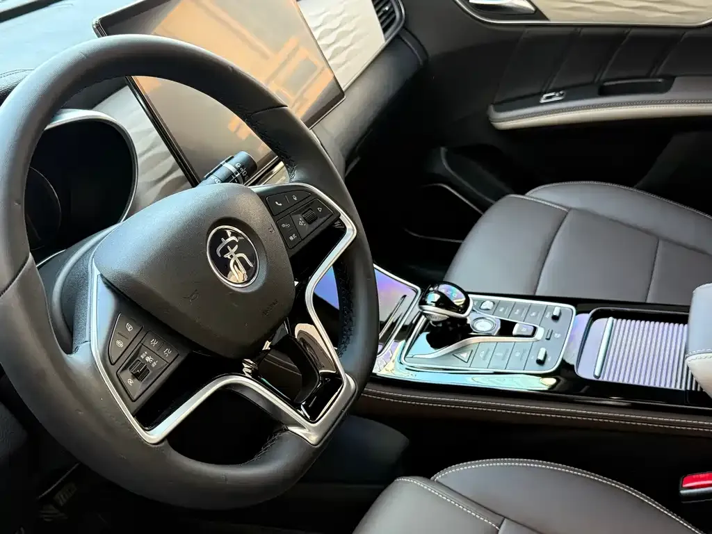 BYD MAX New Energy 2023 из CN, фото 7