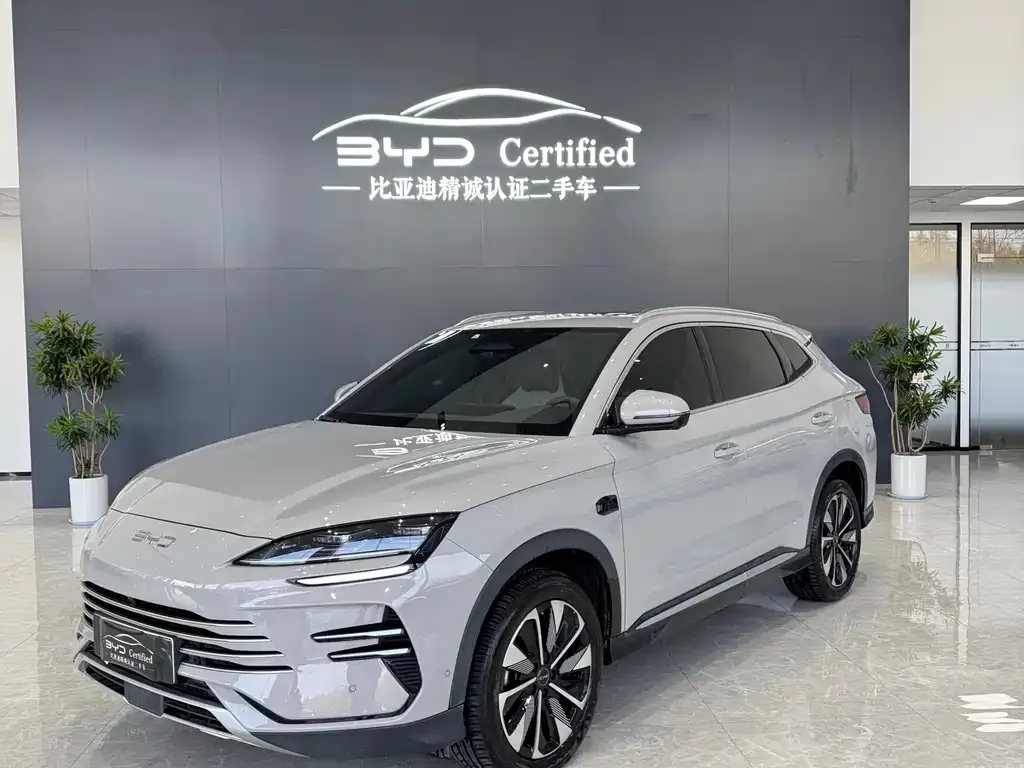 BYD PLUS New Energy 2025 из CN, фото 1