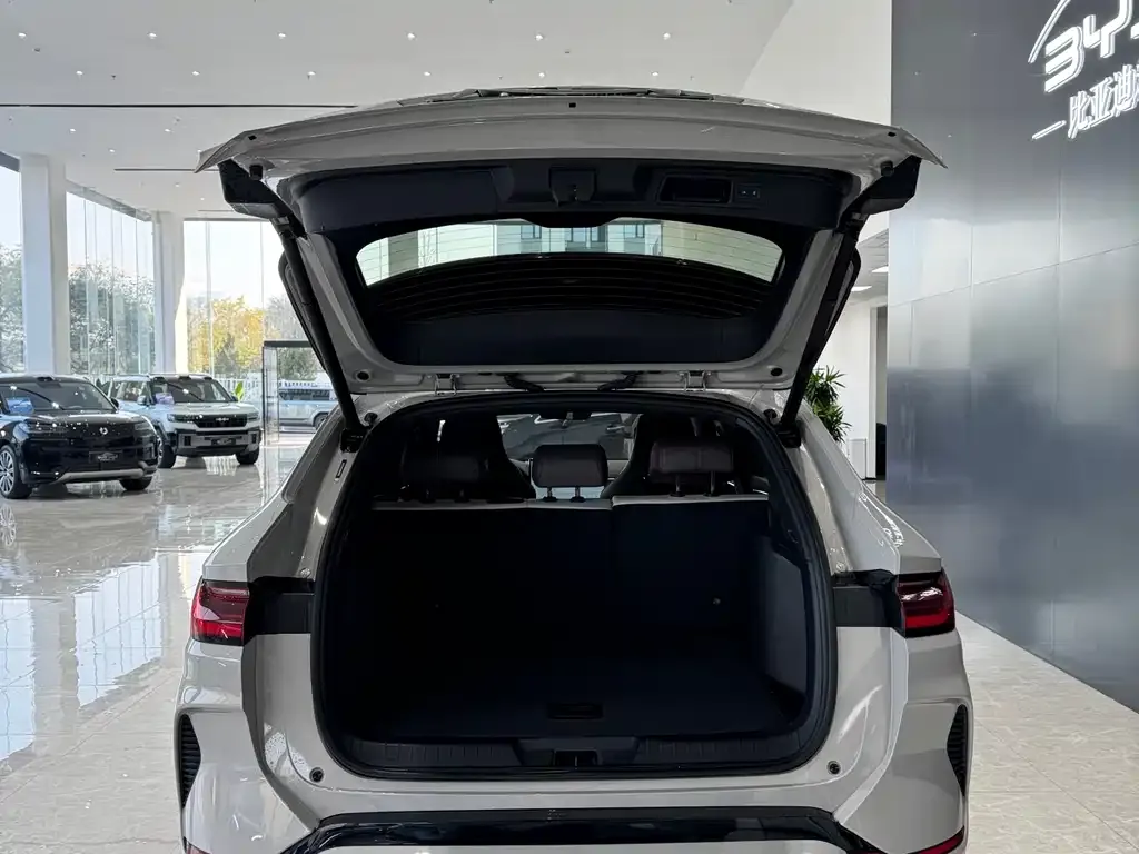 BYD PLUS New Energy 2025 из CN, фото 10