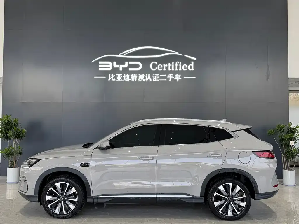 BYD PLUS New Energy 2025 из CN, фото 2