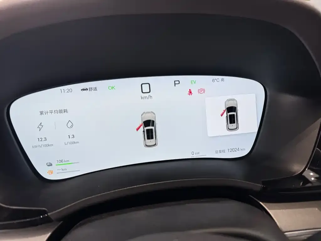 BYD PLUS New Energy 2025 из CN, фото 3