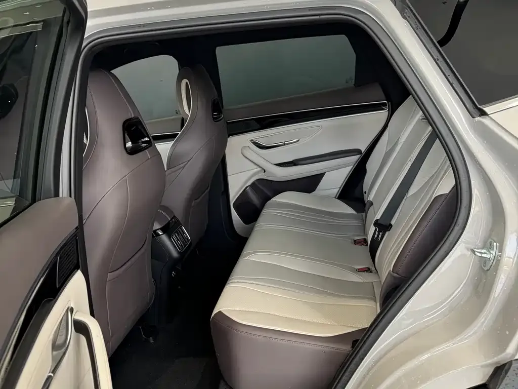 BYD PLUS New Energy 2025 из CN, фото 5