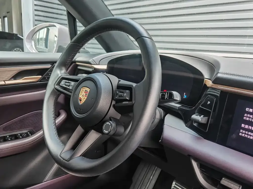 Porsche Macan EV 2025 из CN, фото 10