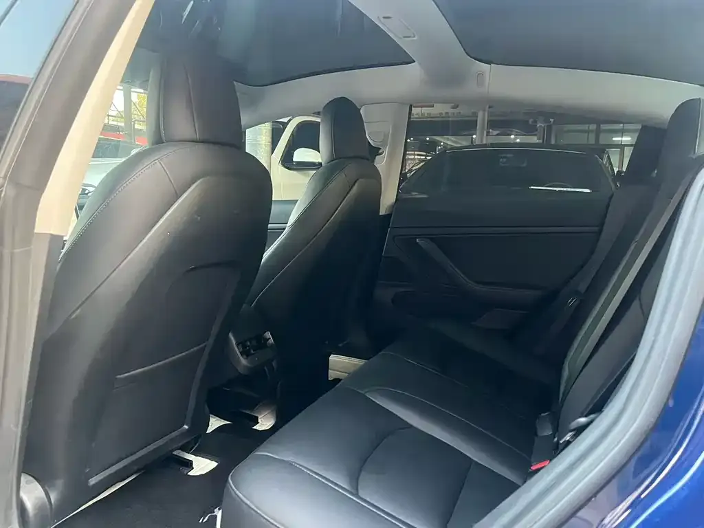 Tesla Model 3 2021 из CN, фото 4