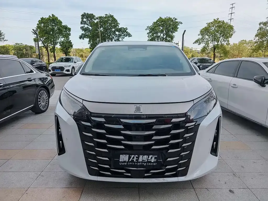 BYD Xia 2025 из CN, фото 2