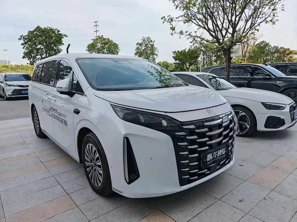 BYD Xia 2025 из CN, фото 3