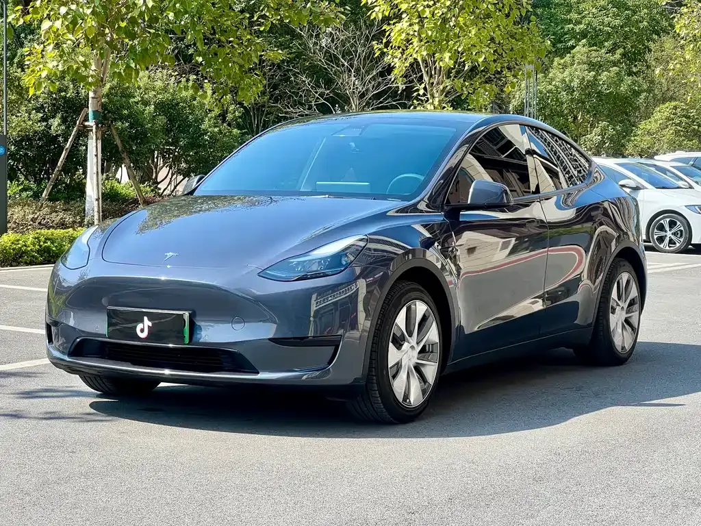 Tesla Model Y 2022 из CN, фото 1