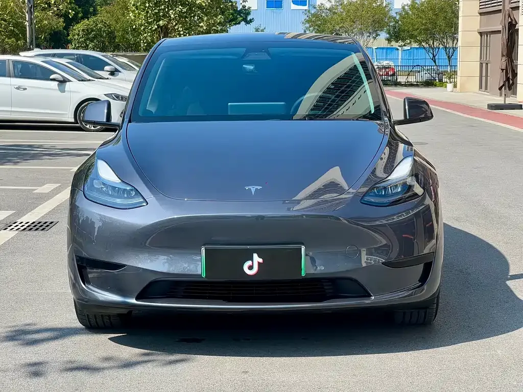 Tesla Model Y 2022 из CN, фото 2