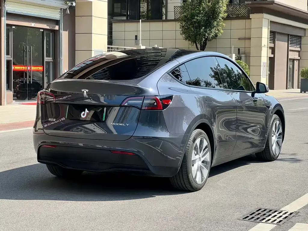 Tesla Model Y 2022 из CN, фото 4