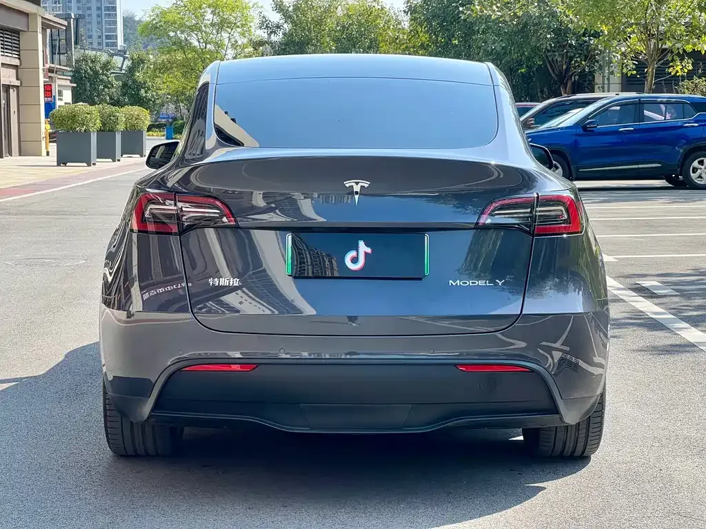 Tesla Model Y 2022 из CN, фото 5