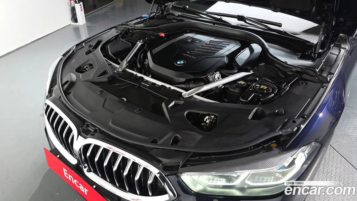 BMW 8-Series 2021 из KR, фото 6