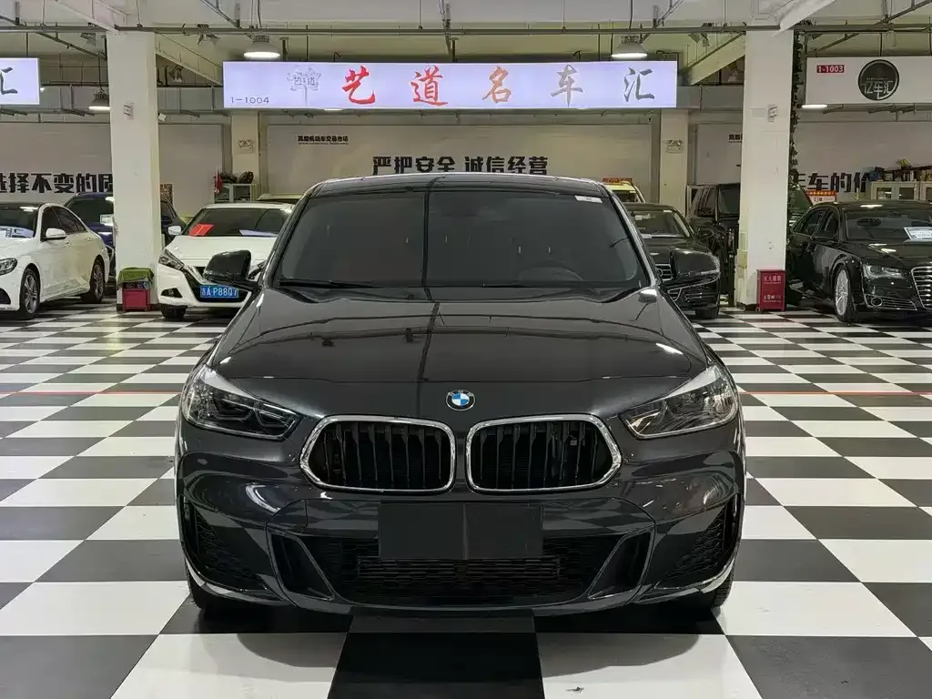 BMW X2 2022 из CN, фото 2