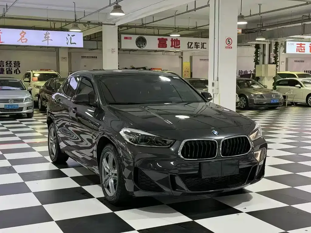 BMW X2 2022 из CN, фото 3