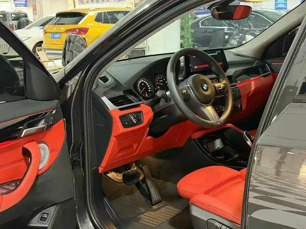 BMW X2 2022 из CN, фото 4