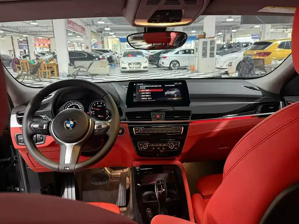 BMW X2 2022 из CN, фото 5