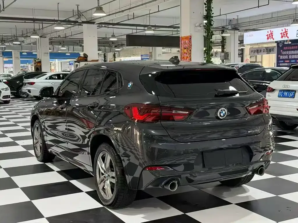 BMW X2 2022 из CN, фото 9