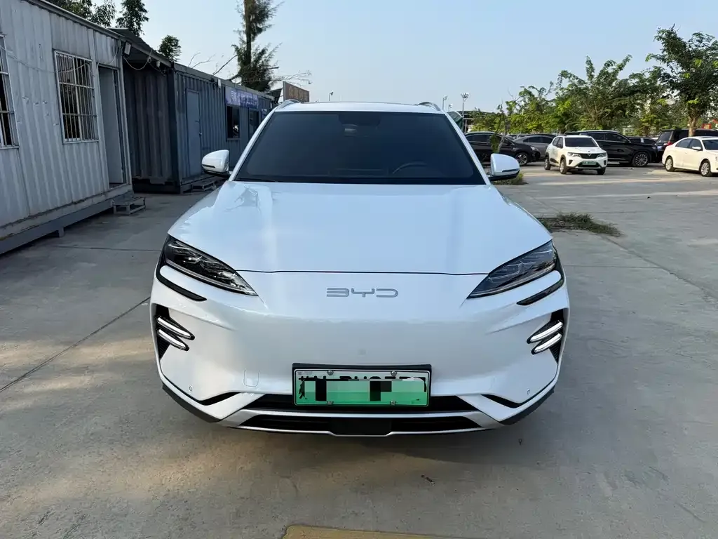 BYD PLUS New Energy 2024 из CN, фото 2