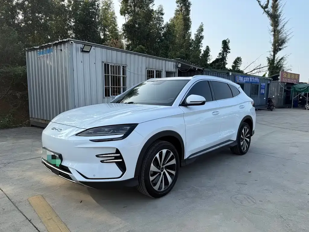 BYD PLUS New Energy 2024 из CN, фото 3