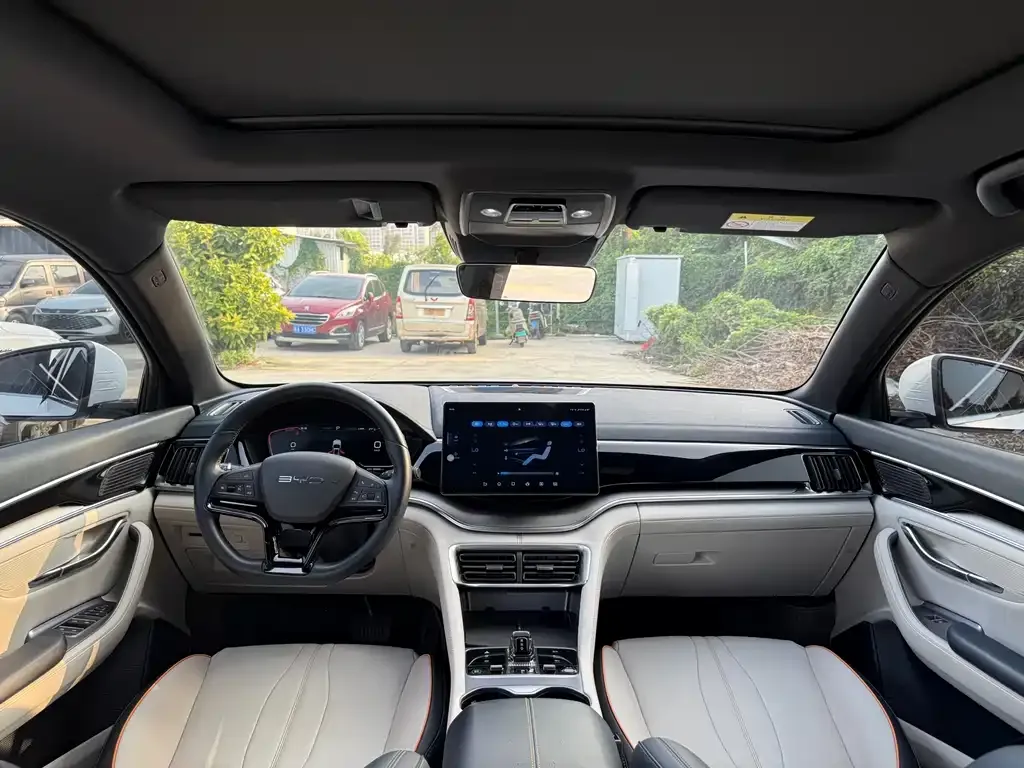 BYD PLUS New Energy 2024 из CN, фото 5