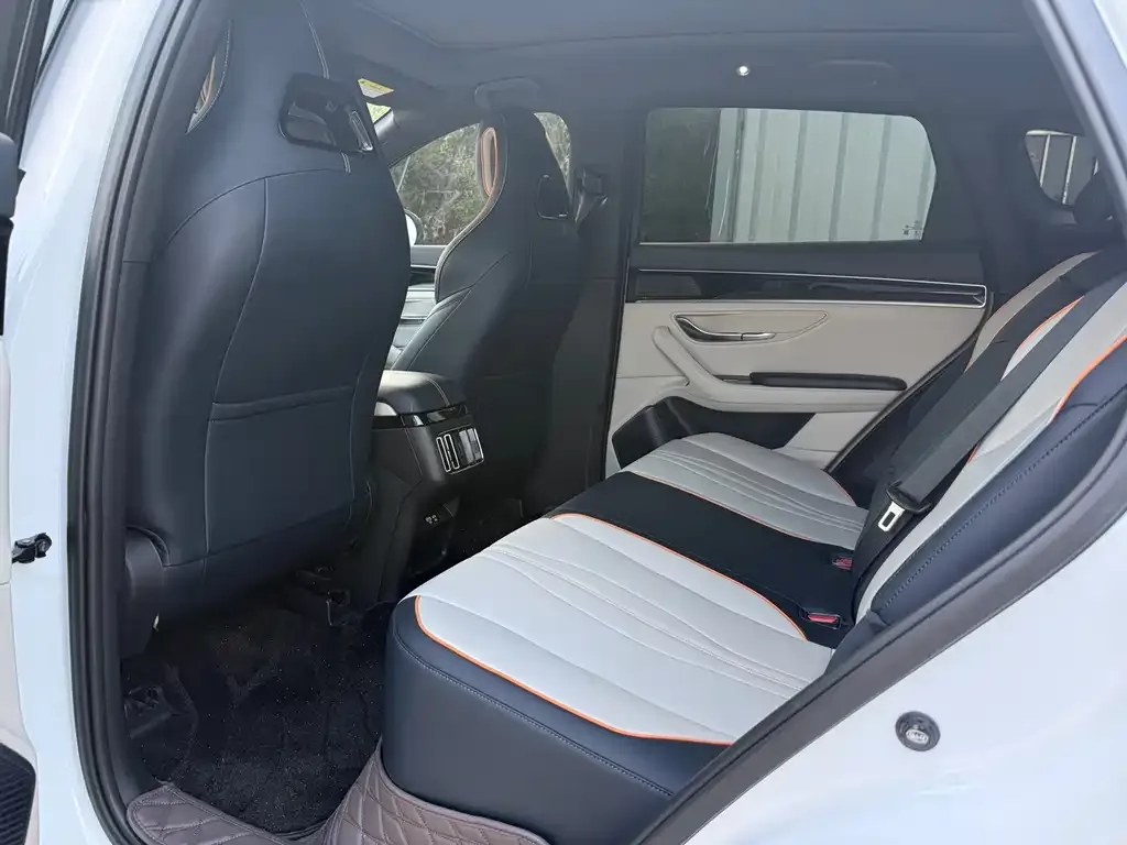 BYD PLUS New Energy 2024 из CN, фото 6