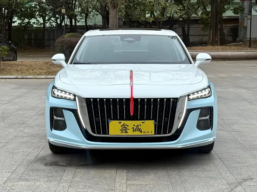 Hongqi H5 2024 из CN, фото 3