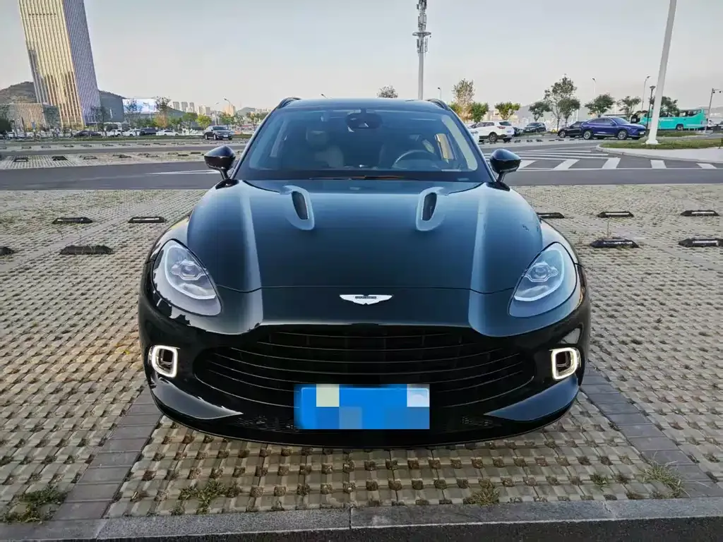 Aston Martin DBX 2021 из CN, фото 1