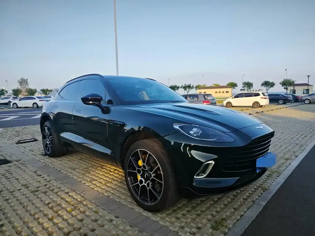 Aston Martin DBX 2021 из CN, фото 2