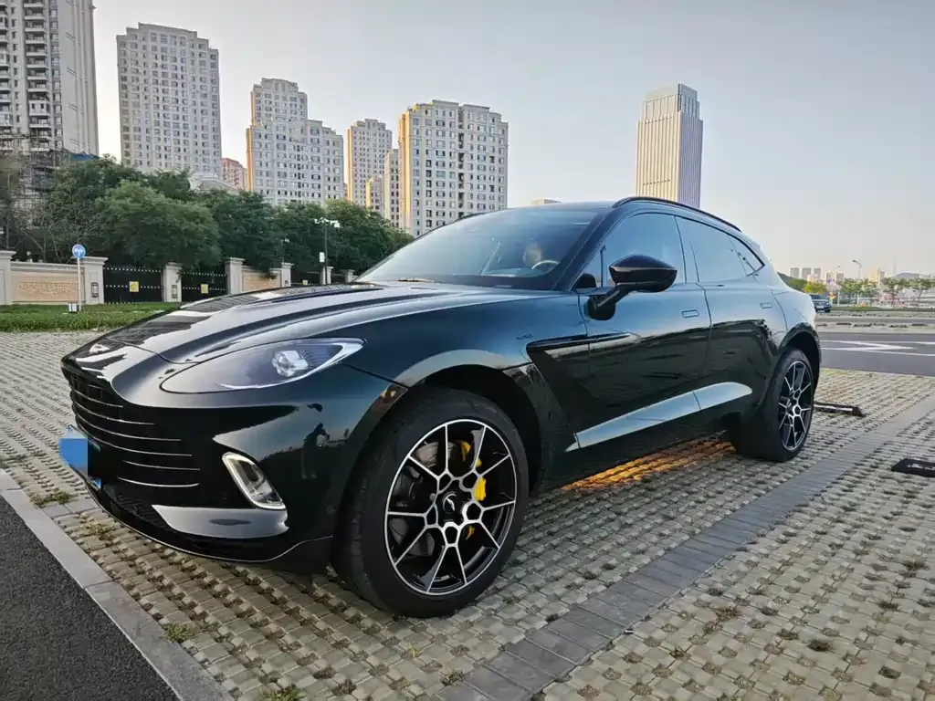 Aston Martin DBX 2021 из CN, фото 3