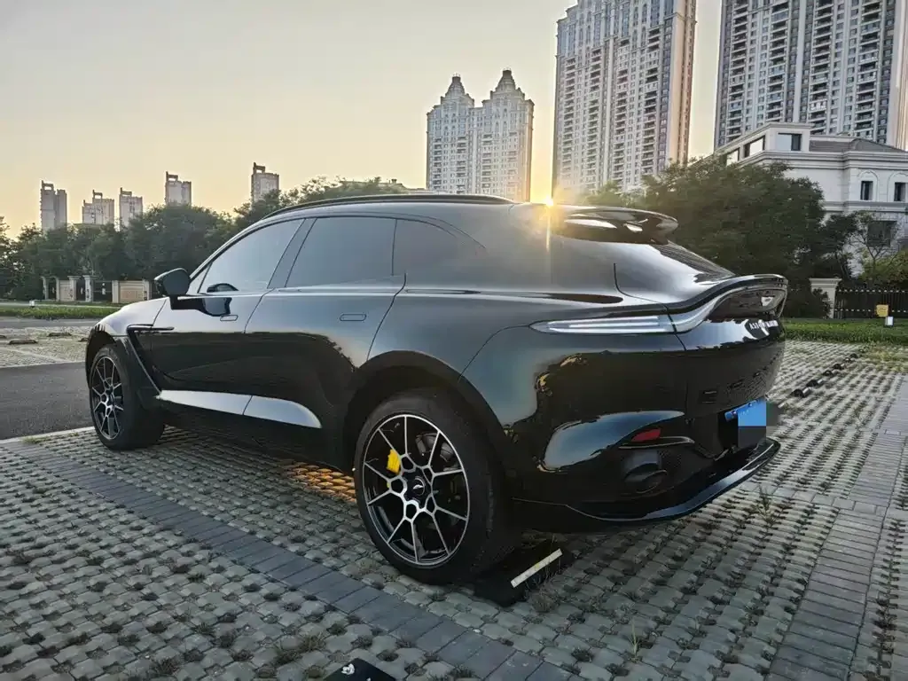 Aston Martin DBX 2021 из CN, фото 4