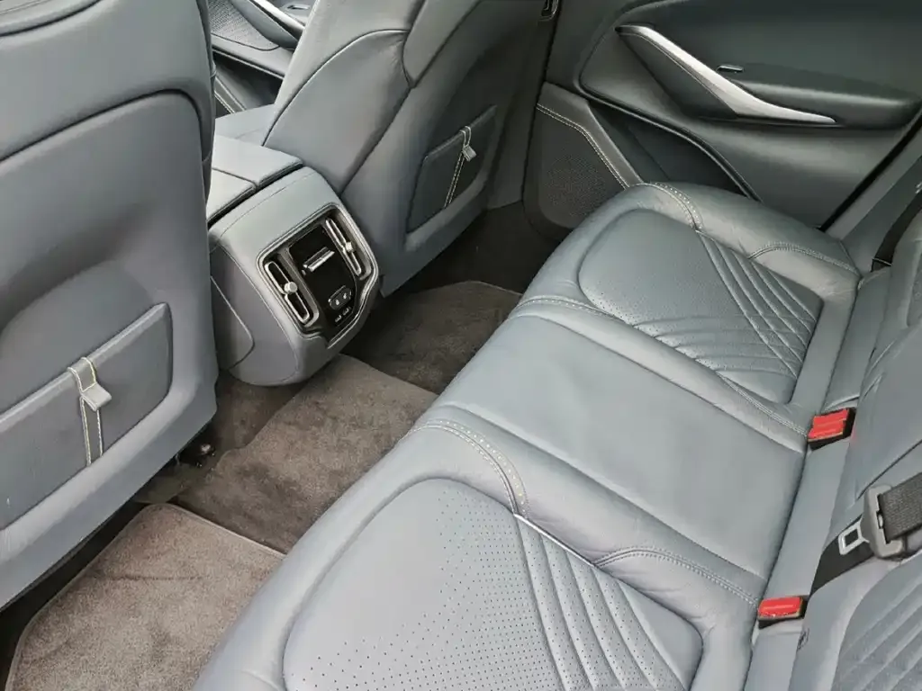 Aston Martin DBX 2021 из CN, фото 6