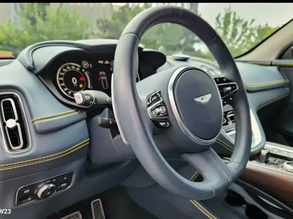 Aston Martin DBX 2021 из CN, фото 7