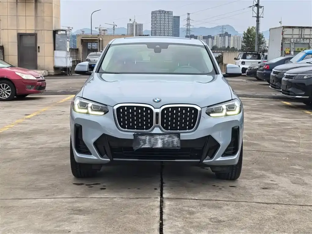BMW X4 2023 из CN, фото 10