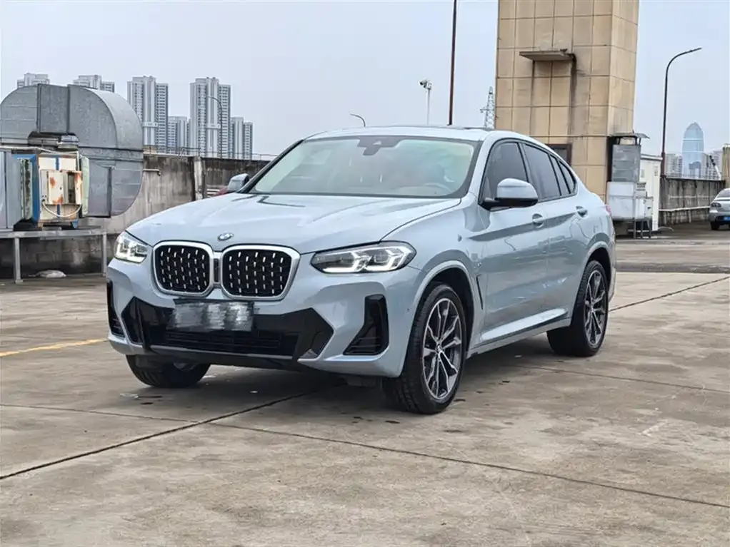 BMW X4 2023 из CN, фото 2