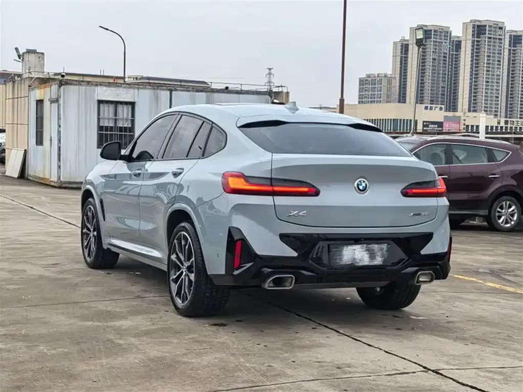 BMW X4 2023 из CN, фото 9