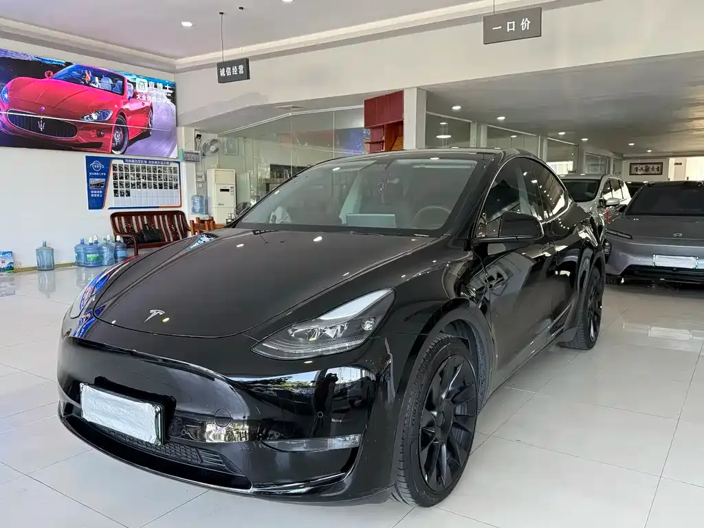 Tesla Model Y 2021 из CN, фото 1