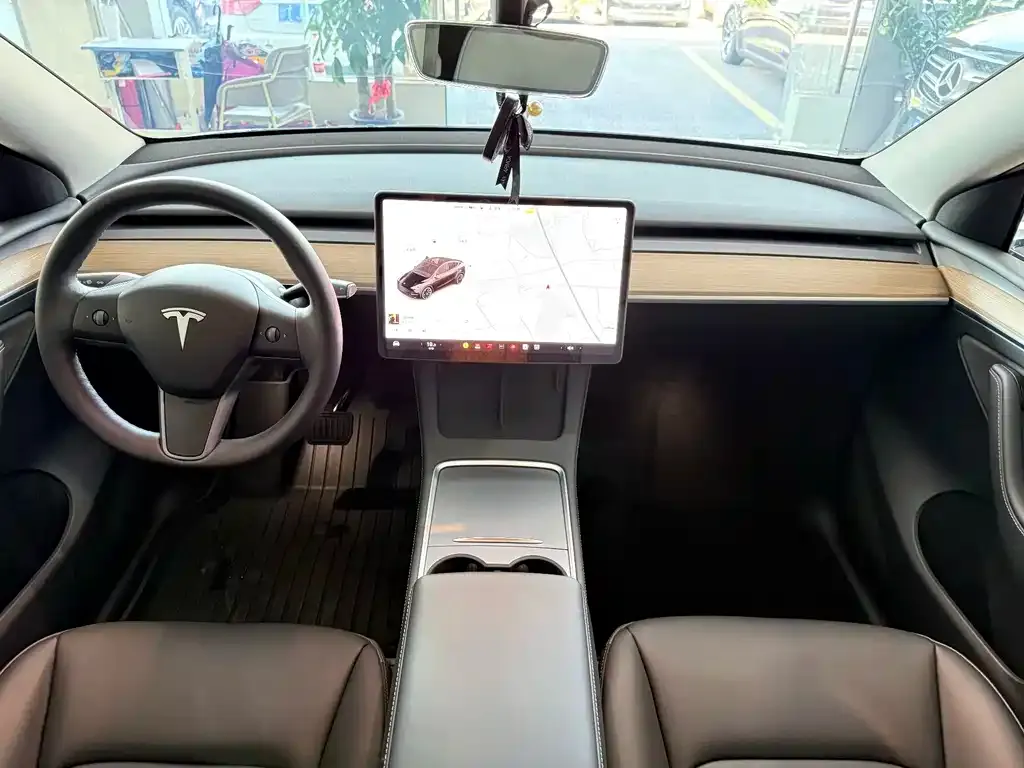 Tesla Model Y 2021 из CN, фото 10