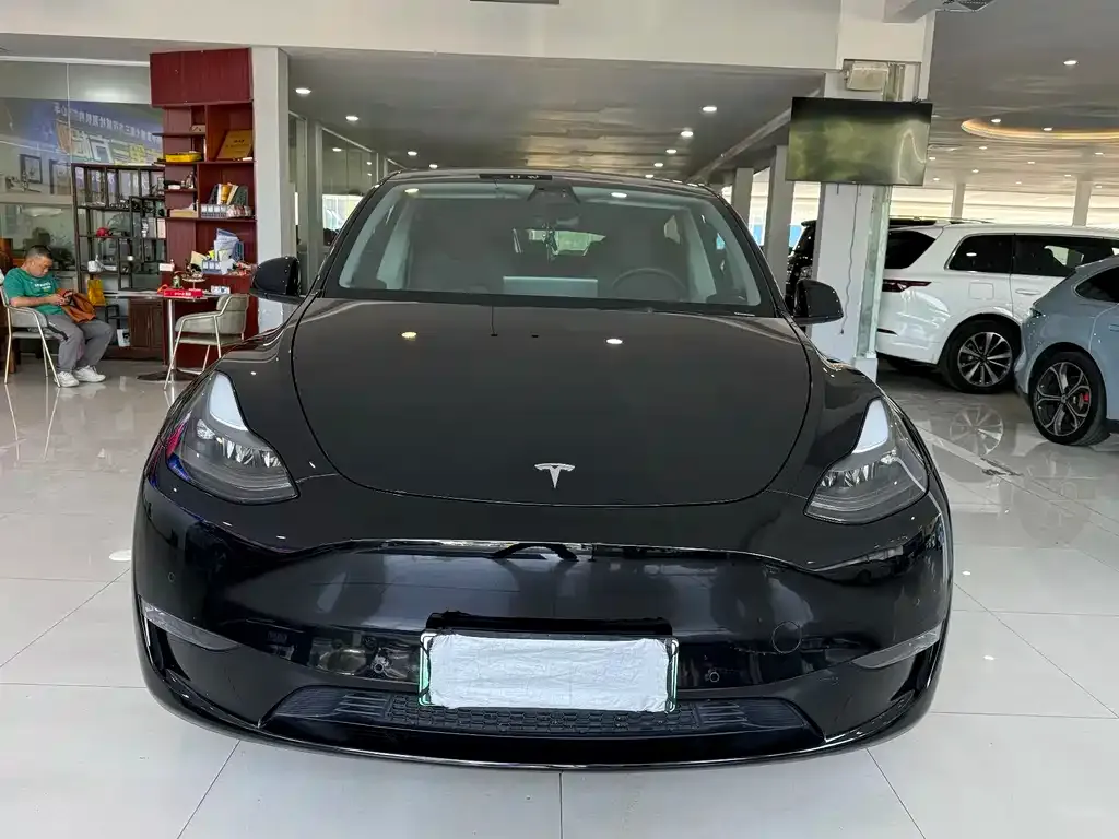 Tesla Model Y 2021 из CN, фото 2