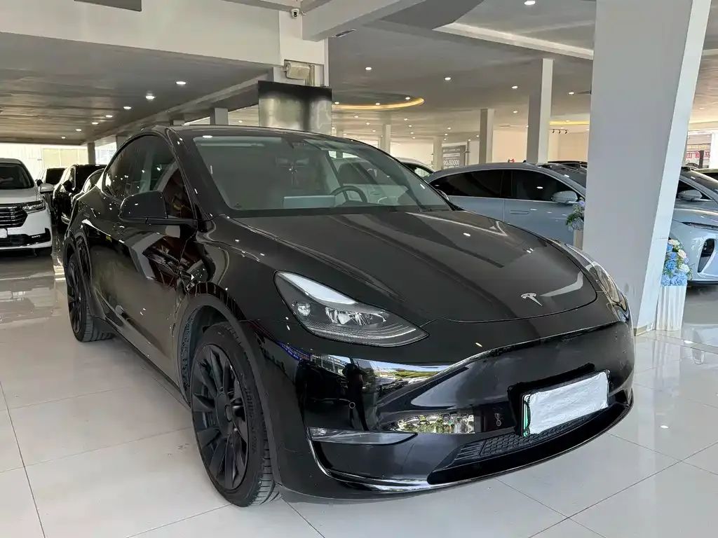 Tesla Model Y 2021 из CN, фото 3