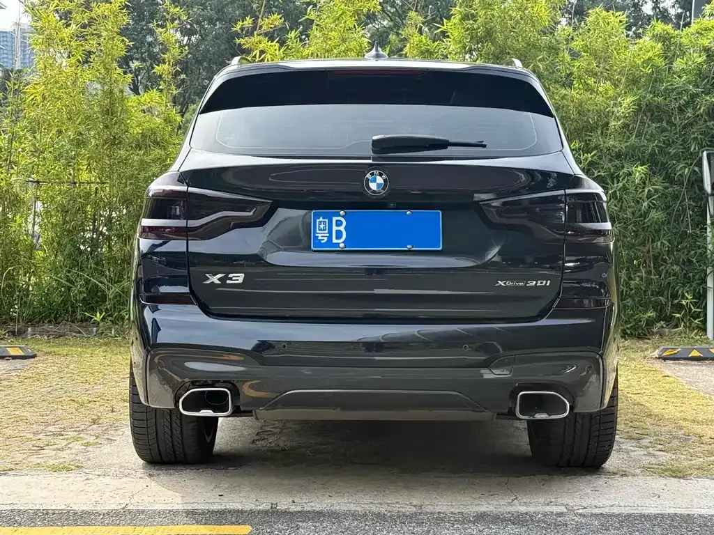 BMW X3 2021 из CN, фото 6