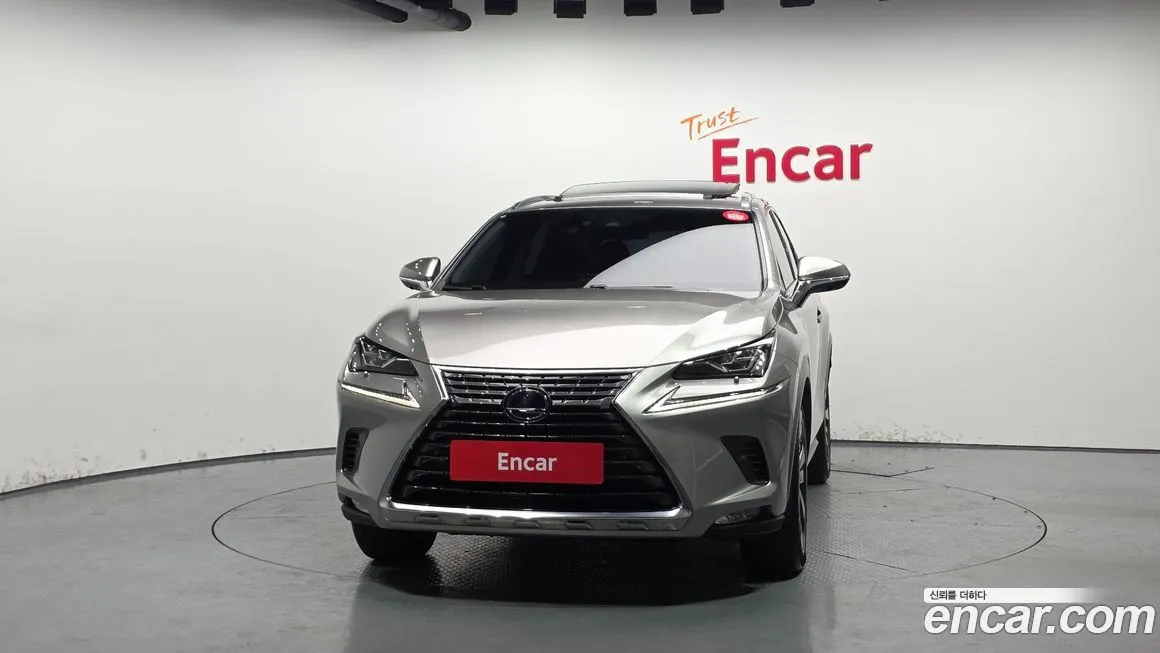 Lexus NX 2021 из KR, фото 3