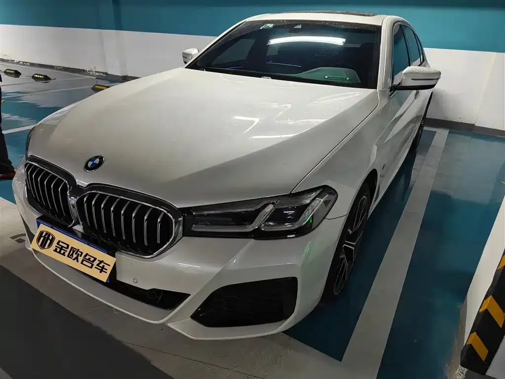 BMW 5 Series 2022 из CN, фото 1