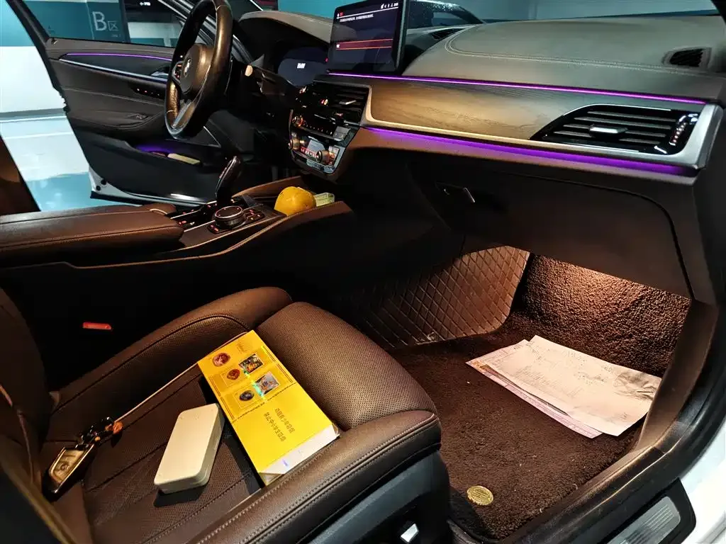 BMW 5 Series 2022 из CN, фото 7