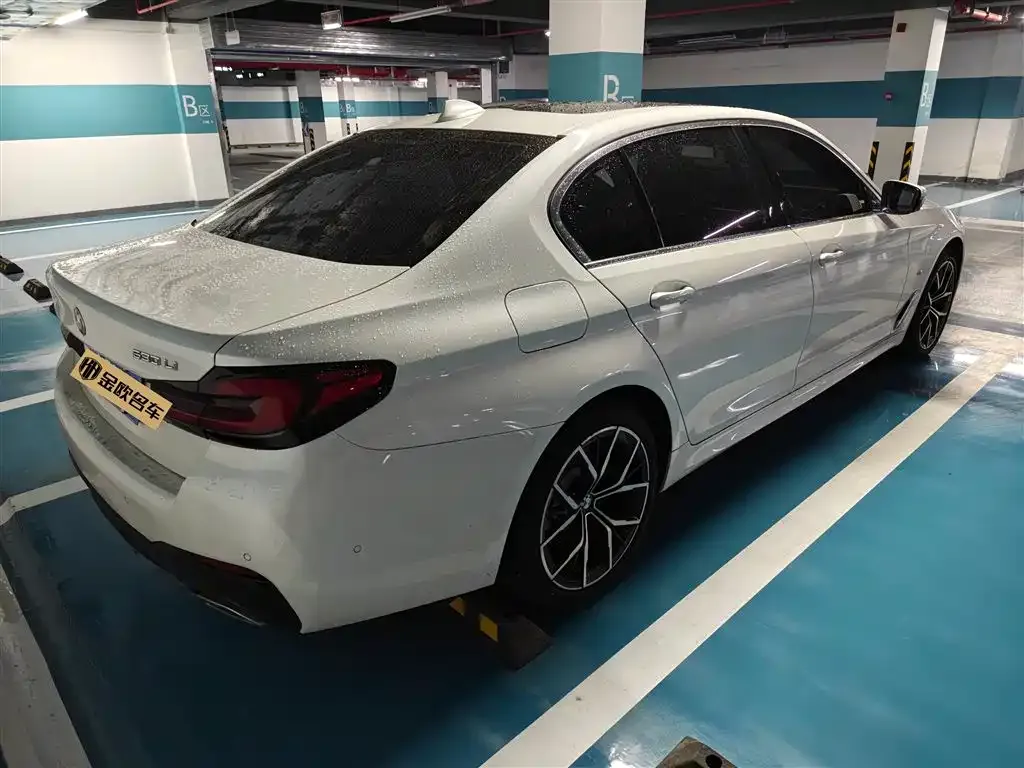 BMW 5 Series 2022 из CN, фото 9