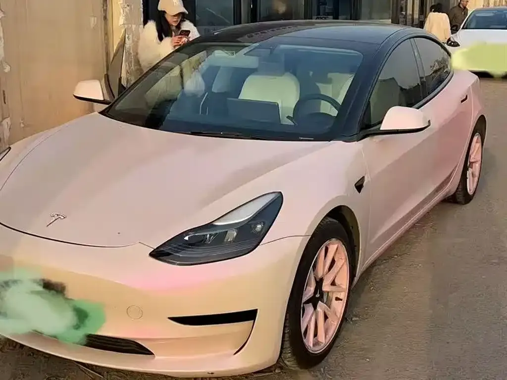Tesla Model 3 2021 из CN, фото 2