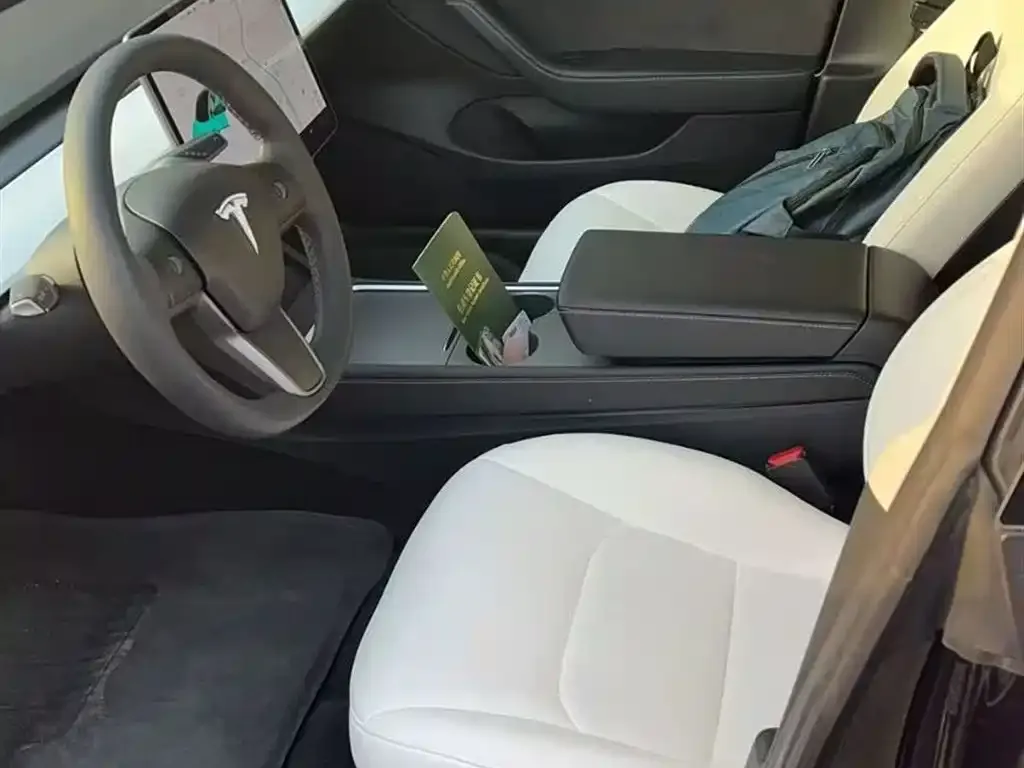 Tesla Model 3 2021 из CN, фото 4
