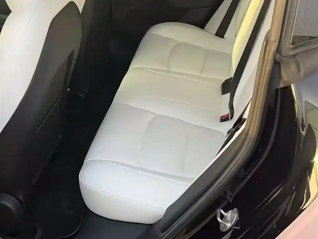 Tesla Model 3 2021 из CN, фото 5