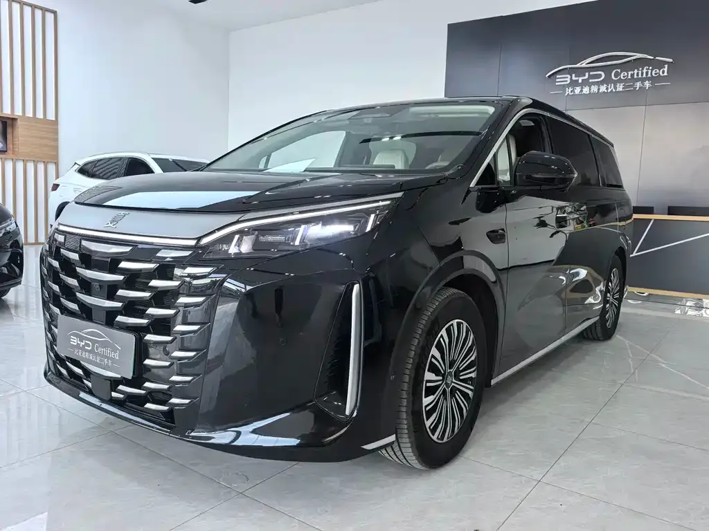 BYD Xia 2025 из CN, фото 1