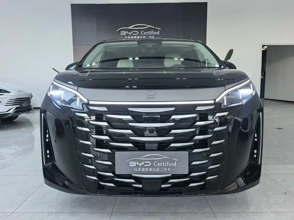 BYD Xia 2025 из CN, фото 2