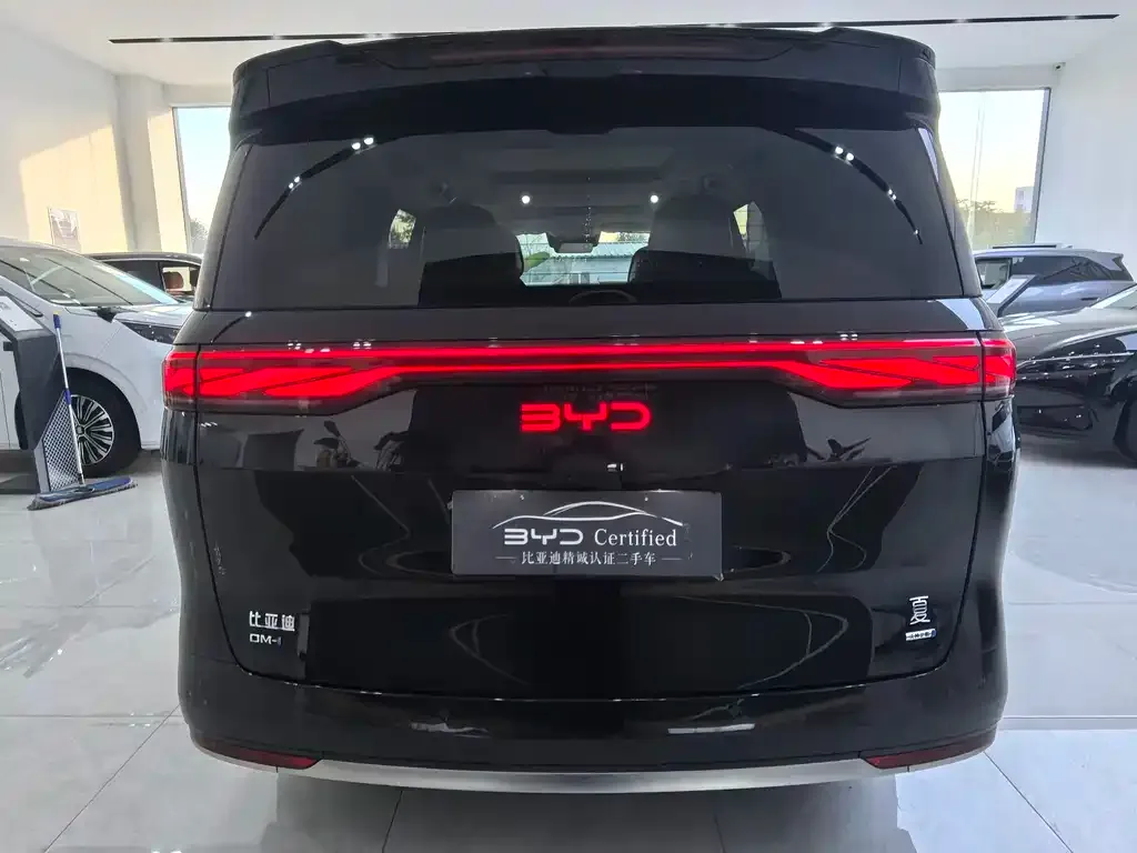 BYD Xia 2025 из CN, фото 4